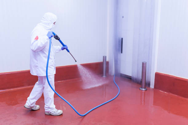 Best Rust and Stain Removal in East Glenville, NY