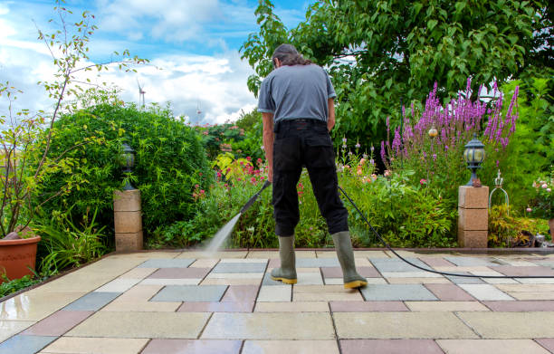 Best Roof Cleaning and Mildew Removal in East Glenville, NY